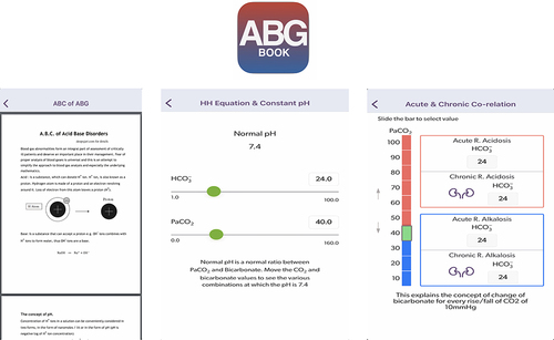 Figure 1 Screen snapshot of the ABG Book App.