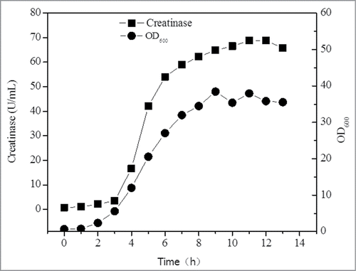 Figure 3. Fed-batch fermentation in 3L fermentor. Glycerol was supplied at 7h with a concentration of 5g/L.