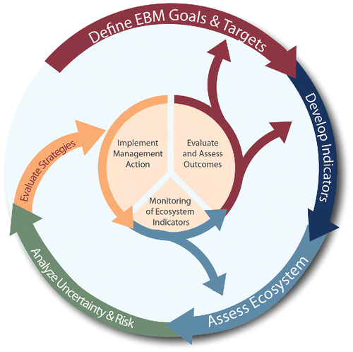Figure 1. The integrated ecosystem assessment (IEA) loop, outlining the general steps that an IEA follows in the course of iterative, adaptive management to meet the ecosystem-based management (EBM) goals defined at the outset. Source: adapted from NOAA IEA Program.