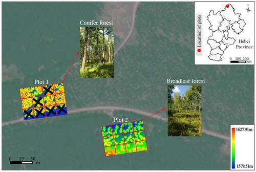 Figure 3. Location of the study area. Two of the UAV-LiDAR data acquisition sites (named as Plots 1 and 2) and corresponding forest types. Each of the two sites was divided into 12 samples, in which six samples containing roads are discarded (marked by black crosses).