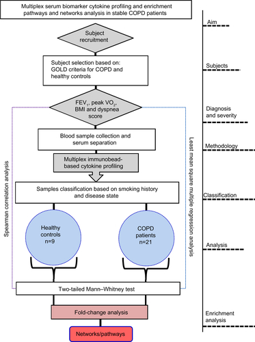 Figure S1 Flow diagram of the experimental design showing overall aim and analysis steps involved in the present study.Abbreviations: COPD, chronic obstructive pulmonary disease; FEV1, forced expiratory volume in 1 second; VO2, maximum oxygen uptake; BMI, body mass index; GOLD criteria, Global Initiative for Chronic Obstructive Lung Disease.