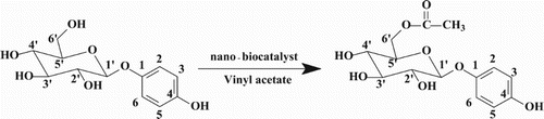 Scheme 1. Regioselective acylation of arbutin catalyzed by nano-biocatalyst.