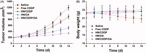 Figure 9. The tumor volume (A) and body weight (B) variations of MGC-803 tumor-bearing mice treated with different formulations. Data were repeated thrice and expressed as standard deviation.
