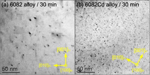 Figure 5. Bright-field TEM images of the (a) 6082 and (b) 6082Cd alloys aged for 30 min. The regions for TEM observations in both samples have similar thicknesses. The images were taken along 〈100〉Al zone axes.