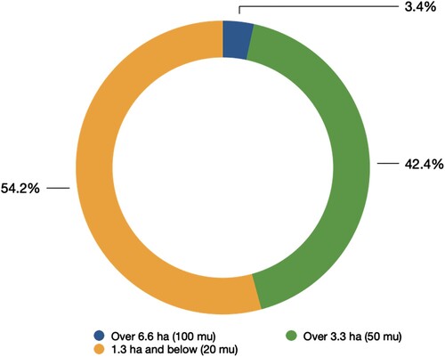 Figure 3. Distribution of farmland area in B Village.Notes: total farmland area of the village = 206.6 ha (3100 mu); total number of households = 118. Data source: Field notes, 8 January 2016.