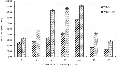 Figure 5. Changes of the POD activity in wheat leaves with combined treatment of PS21 and different concentrations of TBBPA. Values are mean ± SD and bars indicate standard deviation. TBBPA: treatment with various concentrations TBBPA (0–100 mg kg−1 DW); TBBPA + PS21: with combined treatment with PS21 and various concentrations TBBPA (0–100 mg kg−1 DW).