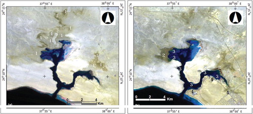 Figure 5. Satellite images of the study area, after improvements and integration of bands (1-3-4). (a) image taken in 1990, the areas pointed by number 1 indicate the effects of marine flood waters. (b) image taken in 2016, the number 2 refers to wet sabkha areas, the number 3 refers to areas of sea retreat, and number 4 refers to areas of extension of urbanization and human expansion.