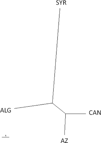 Fig 1. Unrooted UPGMA tree based on Nei's genetic distance between populations of Pyrenophora tritici-repentis from Syria (SYR), Algeria (ALG), Canada (CAN) and Azerbaijan (AZ). The scale bar represents 1 substitution per site. UPGMA  =  unweighted pair group method using arithmetic averages.