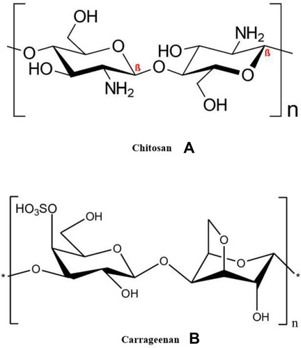 Figure 1 (A) Chemical structure of chitosan (CN), (B) chemical structure of carrageenan (KN).