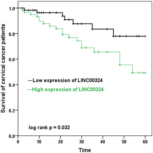 Figure 3. Prognostic significance of LINC00324 in cervical cancer prognosis. Kaplan–Meier’s curves for cervical cancer patients with low and high expression of LINC00324 (log-rank p = .032).