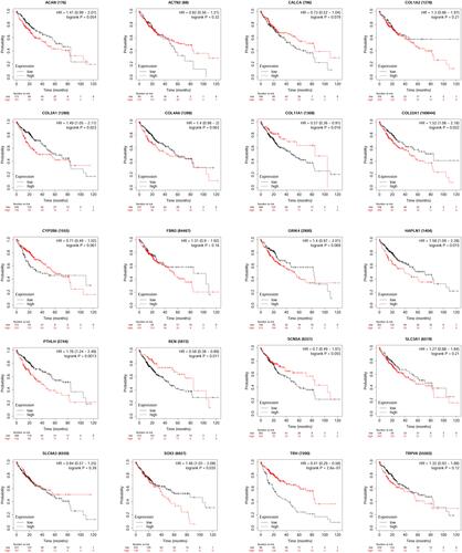 Figure 4 Correlatin between hub genes expression and overall survival of HCC patients was analyzed using the KM-plotter tool.