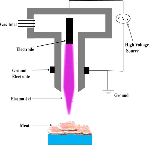 Figure 3. Schematic demonstration of cold plasma processing of meat using AP Plasma Jet