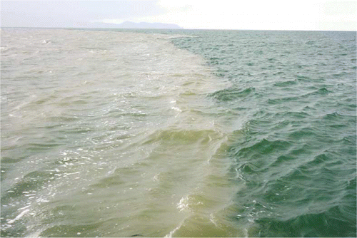 Figure 4  Photograph collected during the synoptic survey on 30 April 2009, 2 days after the main rain event, showing the river plume (left) as a layer of suspended sediment at the water surface.