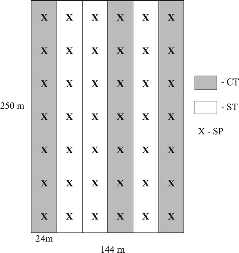 Figure 1. Design of field experiment (CT – conventional tillage, ST – strip-till, X – sampling point).