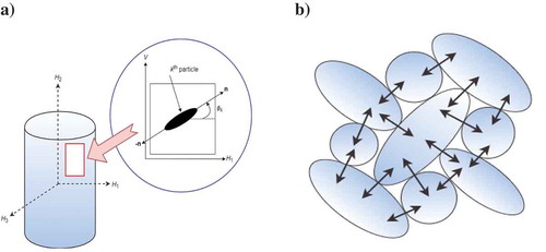 Figure 3. Measure of particle orientations through the long axis. (a) Preferred particle orientation. (b) Contact normal orientations.