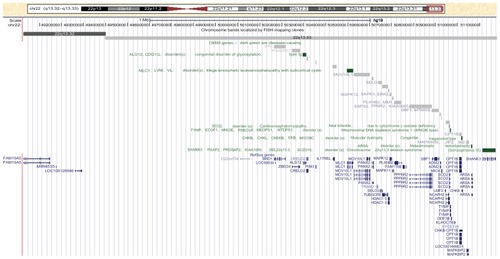 Figure 1 University of California, Santa Cruz genome browser view (GRCh37/hg19) of the deleted region in chromosome 22q13 identified by genome-wide array analysis.