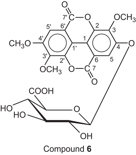 Compound (6):  3,3′,4′-tri-O-Methylellagic acid 4-O-β-glucupy-ranuronide (3,3′,4′-trimethoxyellagic acid 4-O-β-glucupy-ranuronide).