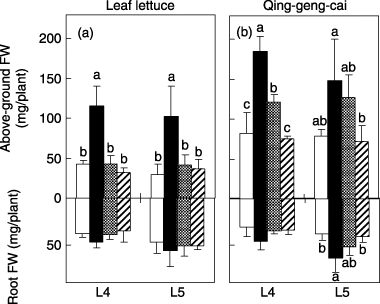 Figure 3  Above-ground and root fresh weights (FW) of (a) leaf lettuce and (b) qing-geng-cai under four nitrogen treatments and at two light intensities (L4–L5). The data represent the mean ± standard deviation (n = 4). Nitrogen treatments with different letters at each light intensity treatment indicate a significant difference (Tukey's procedure). The graph legend is the same as that used in Fig. 2.