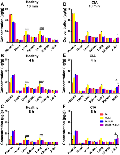 Figure 8 Biodistribution of different preparations in the tissues based on determination of flurbiprofen concentration. (A–C) Healthy and (D–F) collagen-induced arthritic (CIA) rats at 10 min, 4 h, and 8 h post-injection. Data are shown as mean ± SD (n = 5). *P < 0.05, **P < 0.01, ***P < 0.001, ****P < 0.0001; #P < 0.05, ###P < 0.001, ####P < 0.0001.