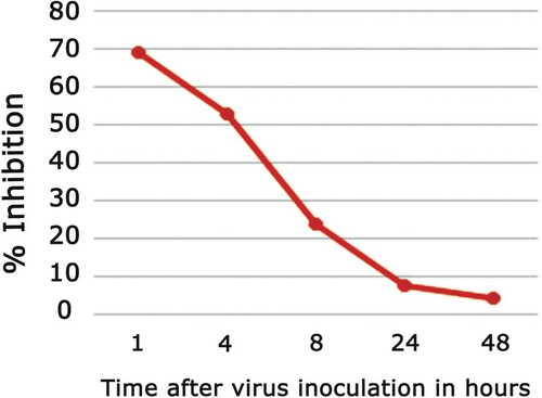 Figure 5. Antiviral effect of AMEAFL at various time intervals after virus inoculation.Notes: AMEAFL: aqueous methanolic extract of A. fraxinifolius leaves.