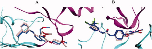 Figure 8. Superimposition of the co-crystallised (blue) and the docking pose (pink) of erlotinib in the EGFR (A) and sorafenib in the VEGFR-2 (B) binding sites.