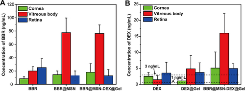 Figure 5 In vivo drug release of (A) BBR from BBR@MSN and BBR@MSN-DEX@Gel, and (B) DEX from DEX@Gel and BBR@MSN-DEX@Gel in eye tissues (cornea, vitreous body, and retina) at week 2 after single intravitreal injection of different therapeutic formulations (n = 4).