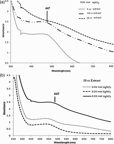 Figure 2. (A) UV–Vis spectra of different concentrations of plant extract (B) UV–Vis spectra of different concentrations of AgNO3.