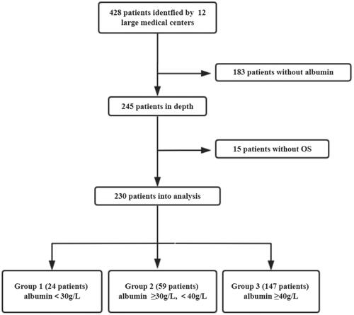 Figure 1. Flowchart review of the literature. Abbreviation. OS: overall survival.