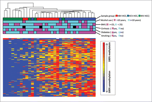 Figure 5. Unsupervised hierarchical clustering of β-values for all differentially methylated loci identified by different viral infection. Unsupervised hierarchical clustering of β-values for DM loci (rows) in 33 HCC samples (columns). Red, blue, green blocks on the top of the maps represent HBV-HCC (n = 10), HCV-HCC (n = 13) and NIV-HCC (n = 10), respectively. The clinical characteristics of the samples including alcohol use, BMI, cirrhosis, diabetes, and smoking were represented as other blocks below sample group.