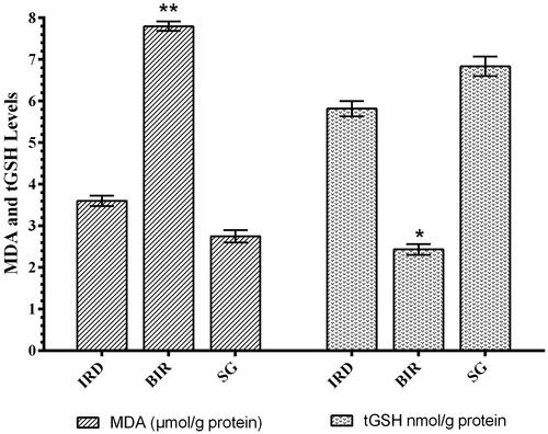 Figure 1. MDA and tGSH levels in the renal tissue of study groups. **p < 0.0001, *p < 0.001 according to SG and IRD groups (n = 6).