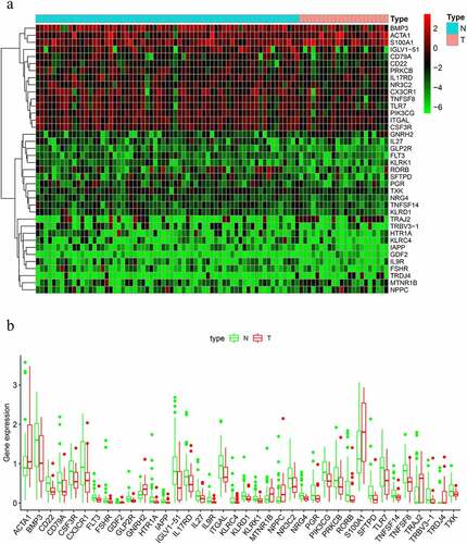 Figure 1. Differentially expressed immune-related genes (IRGs). (a) Heat map. (b) Expression patterns of 29 immune-related genes (IRGs) in nonmetastatic and metastatic osteosarcoma samples. The red dots on the X-axis indicates the metastatic samples and the blue dots indicate the nonmetastatic samples. N, nonmetastatic samples; T, metastatic samples