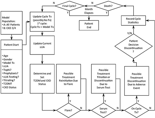 Figure 1. Model flow. CKD, chronic kidney disease; N, no; sUA, serum uric acid; T2DM, type 2 diabetes mellitus; Tx, treatment; Y, yes.
