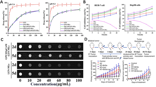 Figure 3 LVN-NDDS achieved the goals of long-term antitumor effects, higher antitumor effects and diagnosis function. (A) In vitro release curve of LVN at pH=7.4 and at pH=5.3 showed that LVN-NDDS had the characteristic of slow-release; (B) Inhibitory effects of LVN-NDDS on HUH-7 cells and Hep3B cells were stronger that free LVN; (C) MRI test results following coculturing of GPC3/EpCAM-LVN-MLs and HUH-7 cells for 2 and 5 days showed more obvious MRI signals than free LVN. Reprinted from Huang ZL, Li F, Zhang JT, et al. Research on the Construction of Bispecific-Targeted Sustained-Release Drug-Delivery Microspheres and Their Function in Treatment of Hepatocellular Carcinoma. ACS Omega. 2022;7(25):22003-22014. Copyright © 2022 The Authors. Published by American Chemical Society.Citation108 (D) The primary tumor growth and the contralateral subcutaneous tumor growth experiment of Bal b/c mice. The results of the tumorigenesis experiment showed that the tumor growth was slower in the groups treated with LVN-NDDS combined with radiotherapy. Reprinted from Liu J, Chen J, Liu H et al. Bi/Se-Based Nanotherapeutics Sensitize CT Image-Guided Stereotactic Body Radiotherapy through Reprogramming the Microenvironment of Hepatocellular Carcinoma. ACS Appl Mater Interfaces. 2021;13(36):42473–42485. Copyright © 2021 American Chemical Society.Citation46