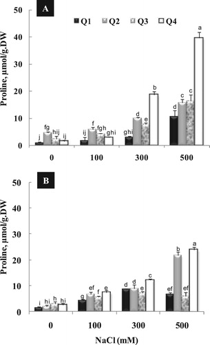 Figure 6. Changes in leaf (A) and root (B) proline content (µmol/g.DW) in quinoa genotypes following exposure to different NaCl concentrations (0, 100, 300 and 500 mM). Each bar represents the mean (±S.E.) of 6 replicates.