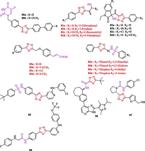 Figure 6. Derivatives of 1,2,4-oxadiazole ring.