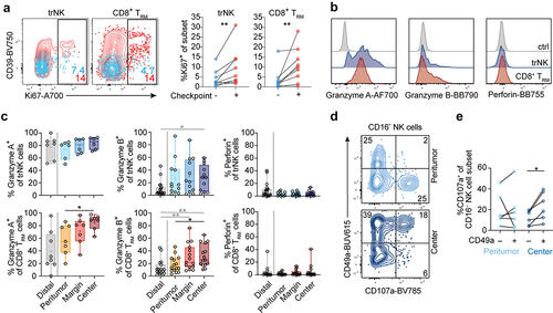 Figure 4. Cytotoxic profiles of trNK cells and CD8+ TRM cells in lung tumors. (a) Representative contour plots (left) and summary data (right) of Ki67 expression on checkpoint receptor negative (blue) or positive (red) trNK and CD8+ TRM cells (n = 9). (b) Representative overlays (tumor center) and (c) summary of data showing frequencies of granzyme A, granzyme B, and perforin expression in trNK cells and CD8+ TRM cells in different tumor and tumor-free tissue areas (n = 7–19). (d) Representative contour plots displaying degranulation in response to K562 target cells. CD16− NK cells from peritumoral tissue or tumor center were gated. (e) Frequencies of CD107a+CD49a−CD16− and CD107a+CD49a+CD16− NK cells following stimulation with K562 target cells. Data from unstimulated controls have been subtracted (n = 6). (c) Friedman test, Dunn’s multiple comparisons test (patient-matched, black); Kruskal–Wallis test (unmatched, gray). (a, e) Wilcoxon test. *p < 0.05, **p < 0.01.