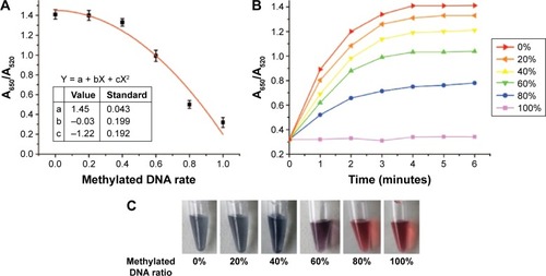 Figure 3 Quantitative detection of methylation status of PAX1 gene by novel methods.Notes: (A) Curve fitting between methylated DNA rate and absorbance ratio A650/A520. (B) Changes of UV–vis spectra of AuNPs with different percentages of methylated DNA and unmethylated DNAs within 6 mins. (C) Six minutes after the addition of NaCl, the color of AuNPs colloid solution for various percentages of mixed PAX1m+.Abbreviations: AuNPs, gold nanoparticles; UV-vis, ultraviolet-visible spectrophotometry.
