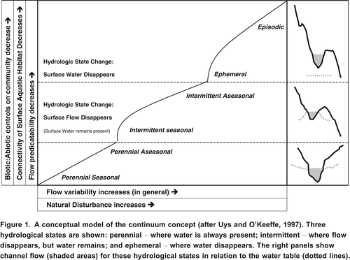 Figure 1. A conceptual model of the continuum concept (after Uys and O'Keeffe, Citation1997). Three hydrological states are shown: perennial where water is always present; intermittent where flow disappears, but water remains; and ephemeral where water disappears. The right panels show channel flow (shaded areas) for these hydrological states in relation to the water table (dotted lines).