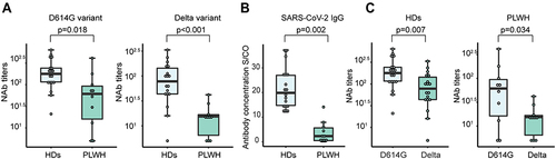 Figure 2 The antibody immune responses of inactivated vaccines against SARS-CoV-2. Lines through the boxes represent medians, the width of the boxes represent IQR, the whiskers represent the upper quartile and the lower quartile, and dots indicate points beyond 1.5 times the IQR. (A) Comparison of neutralizing antibodies to the D614G and Delta variants between PLWH and HDs. (B) Comparison of SARS-CoV-2 IgG antibodies between PLWH and HDs. (C) Comparison of neutralizing antibody (NAb) titers between D614G and Delta variants in PLWH and HDs.