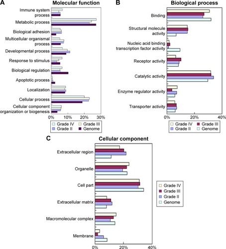 Figure 3 GO analysis of differential proteins from low- to high-grade astrocytomas.