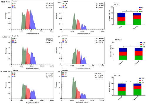 Figure 6. Effect of metformin-loaded coconut oil nanoemulsion on cell cycle distributions of MCF-7, HepG2, and HCT 116 cells. Cell cycle distribution was determined using flow cytometry analysis after exposure to treatment for 48 h. Data are presented as the mean ± SD. * p < 0.05 and ** p < 0.01.