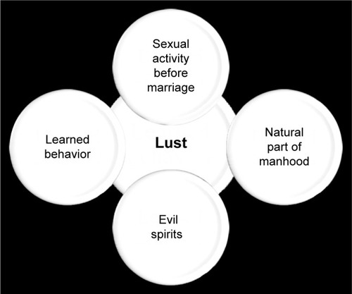 Figure 2 Participants’ explanations for men’s lust.