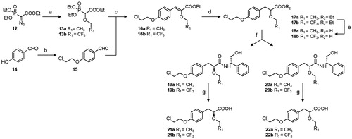 Scheme 2. Synthesis of optically pure α–alkoxyphenylpropionic acids 21, 22. Reagents and conditions: (a) ethanol or trifluoroethanol [Rh(OAc)2]2,toluene, reflux; (b) 1,2-bromo-chloroethane, K2CO3, CH3CN, reflux; (c) NaH, dry THF, 0 °C to r.t.; (d) H2, Pd/C, ethanol, r.t.; (e) LiOH, THF/H2O, r.t.; (f) 1-ethyl-3–(3-dimethylaminopropyl)-carbodiimide hydrochloride, triethylamine, HOBT, (S)-(-)-2-phenylglycinol, DCM, 0 °C to r.t.; (g) 5 M H2SO4, dioxane/H2O, reflux.