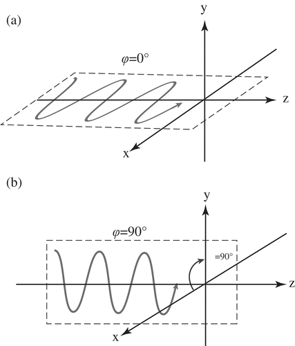 Figure 5. Schematic diagram showing the polarization directions of the photons. (a) Polarization in the direction ϕ = 0°. (b) Polarization in the direction ϕ = 90°.