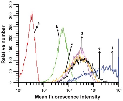 Figure 3 Cellular uptake of different EHCO/siRNA nanoparticles. The cellular uptake of different nanoparticles was measured using flow cytometric analysis. The transfection was conducted in serum free media (RPMI-1640). AF-647 siGFP is the siRNA used in the preparation of nanoparticles. [AF-647 siGFP] = 100 nM; (a) untreated 4T1 cells; (b) siRNA; (c) PEG/EHCO/siRNA; (d) PEG-RAD/EHCO/siRNA; (e) PEG-RGD/EHCO/siRNA; (f) EHCO/siRNA.Abbreviations: EHCO, N-(1-aminoethyl)iminobis[N-(oleoylcysteinylhistinyl-1-aminoethyl)propionamide]; siRNA, short-interfering RNA; PEG, polyethylene glycol.