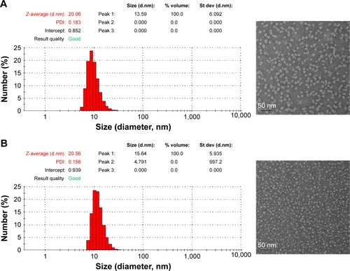 Figure 3 Droplet size distribution and transmission electron micrographs of nanoemulsion E (Smix,2 1:1) containing OXA and 5-FU (A), and nanoemulsion E (Smix,2 1:1) containing OXA/DCK complex and 5-FU (B). Scale bar represents 50 nm.Abbreviations: Smix,2, a mixture of Cremophor EL (surfactant) and Transcutol HP (co-surfactant); OXA, oxaliplatin; 5-FU, 5-fluorouracil; OXA/DCK, ion-pairing complex between oxaliplatin and deoxycholic acid derivative; PDI, polydispersity index; St dev, standard deviation.