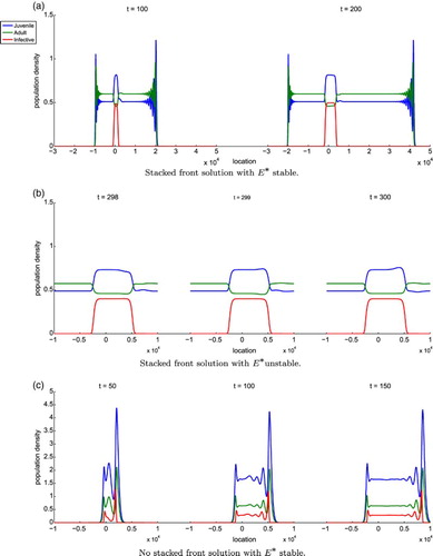 Figure 3. The blue, green, and red curves correspond to the juvenile, adult, and infected classes, respectively. In example (a) f0=20, s=0.54, and γ=5.27. This is the case where E∗ is stable so there is no Hopf bifurcation. The solution forms a stacked front with the leading front connecting O∗ to B∗ and the trailing front connects B∗ to E∗, where B∗≈(0.5102,0.5989,0) and E∗≈(0.8147,0.4600,0.4963). The leading front oscillates before converging to B∗ because two of the eigenvalues of MB are ≈0.2700±0.9586i while the third is ≈1.1389 clearly showing that B∗ is unstable. The eigenvalues of ME are λE±≈0.1490±0.9888i with |λE±|≈0.9999 and the third eigenvalue is ≈0.9103. Thus, E∗ is stable. In example (b) f0=20, s=0.54 and γ=5.4. This is the case where E∗ is unstable so there is a Hopf bifurcation. The solution also forms a stacked front. Here, B∗≈(0.4979,0.5845,0) and E∗≈(0.7674,0.4600,0.4408). We choose γ to be much larger than 5.27 to make the bifurcated solution about E∗ more visible. We do not include the leading front in the plots for (b) because the behaviour is similar to example (a) and are more interested in the Hopf bifurcation. In example (c) f0=2.7187, s=0.3585, and γ=0.0825. This is the case where E∗ is stable and there is no stacked front. It is clear that B∗ is unstable and E∗ is stable because the largest eigenvalue of MB is ≈5.4285 and the eigenvalues of ME are λE±≈0.9307±0.2780i, where |λE±|≈0.9713 and the third eigenvalue is ≈−0.7234.