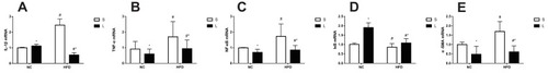 Figure 6 Expression of IL-1β (A), TNF-α (B), NF-κB (C), IκB (D), and α-SMA (E) mRNAs in mice treated with liraglutide (L) or saline (S). Data are presented as the means±SD (n=6 mice per group). *P<0.05 for the comparison between saline and liraglutide treatments. # P<0.05 for the comparison between the NC and HFD groups.