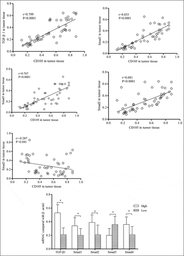 Figure 4 The correlation between CD105 mRNA expression and the mRNA expression of TGFβ1, Smad1-4 in tumor tissue (n = 50). High-CD105 expression group, low-CD105 expression group, * indicated P < 0.05 in comparison between groups.