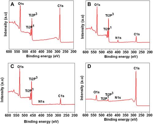 Figure 3 XPS spectra of the titanium samples in: (A) the control group; (B) Group N; (C) Group NA; and (D) Group NAG.
